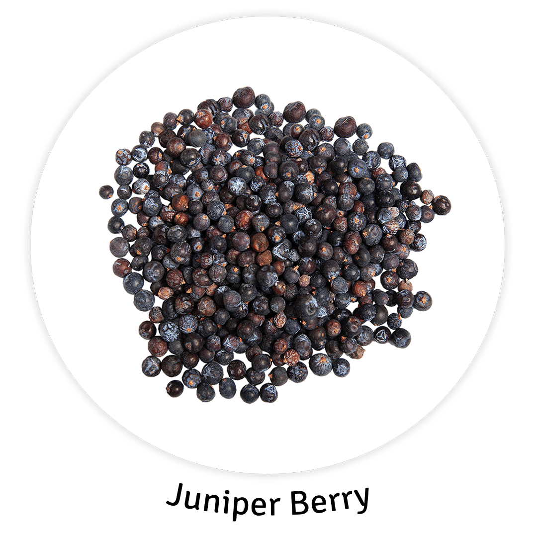 Juniper Berry